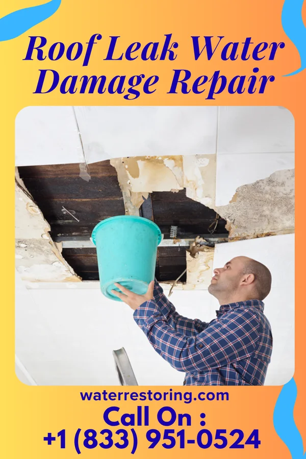 Roof Leak Water Damage Repair in Ellington, MO